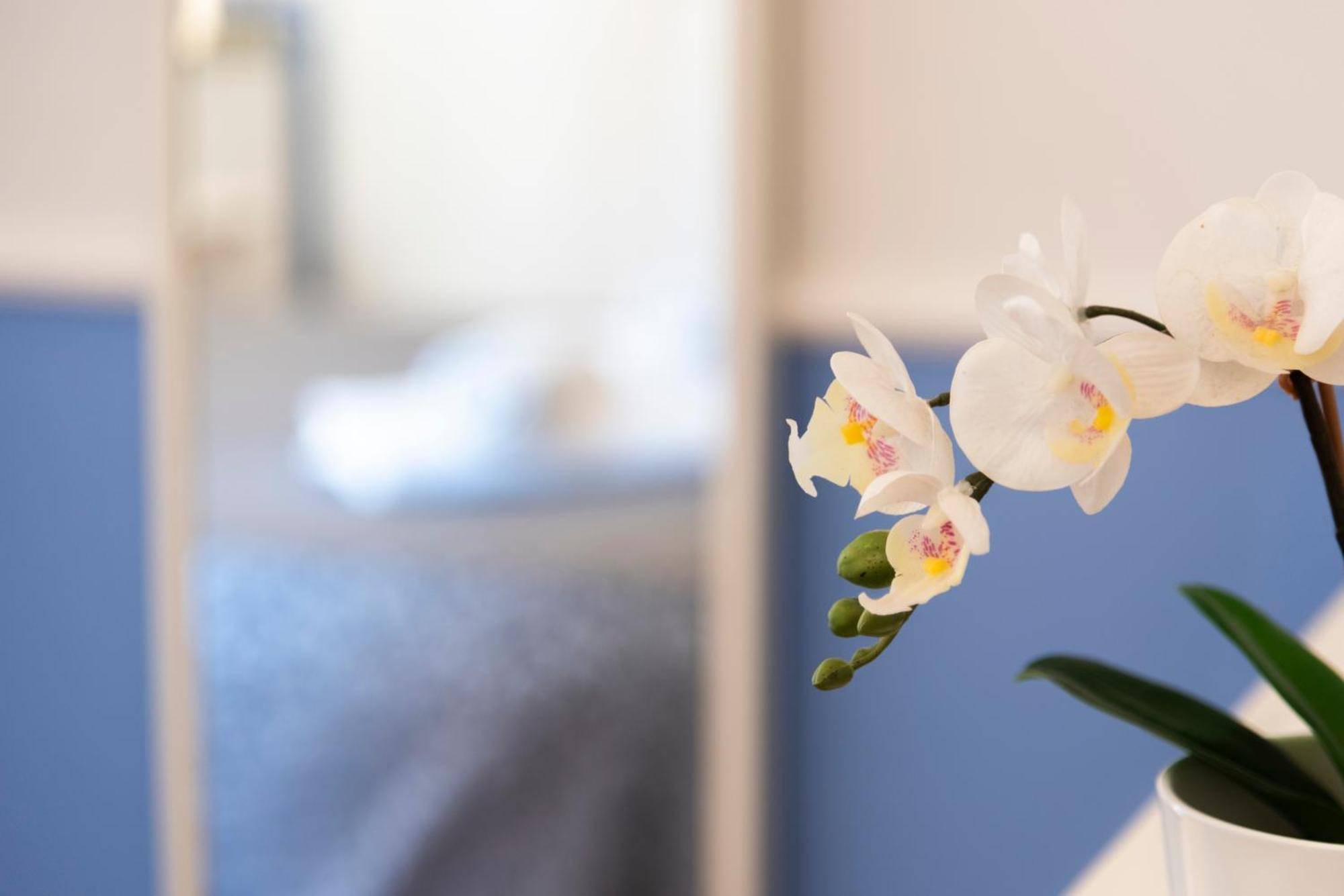 Guest house Gregorios San Pietro *
