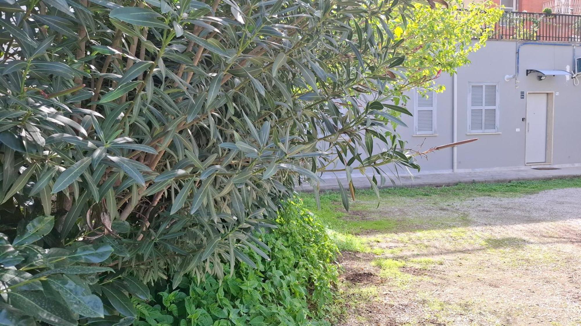 Altavilla *
