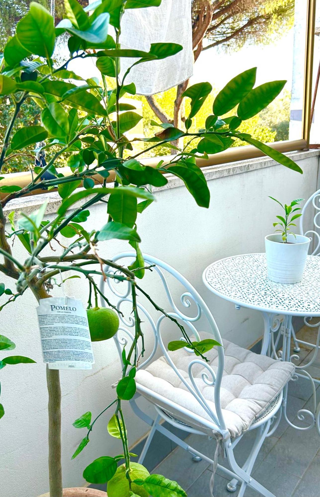 Italian Luxury Appartamento Roma