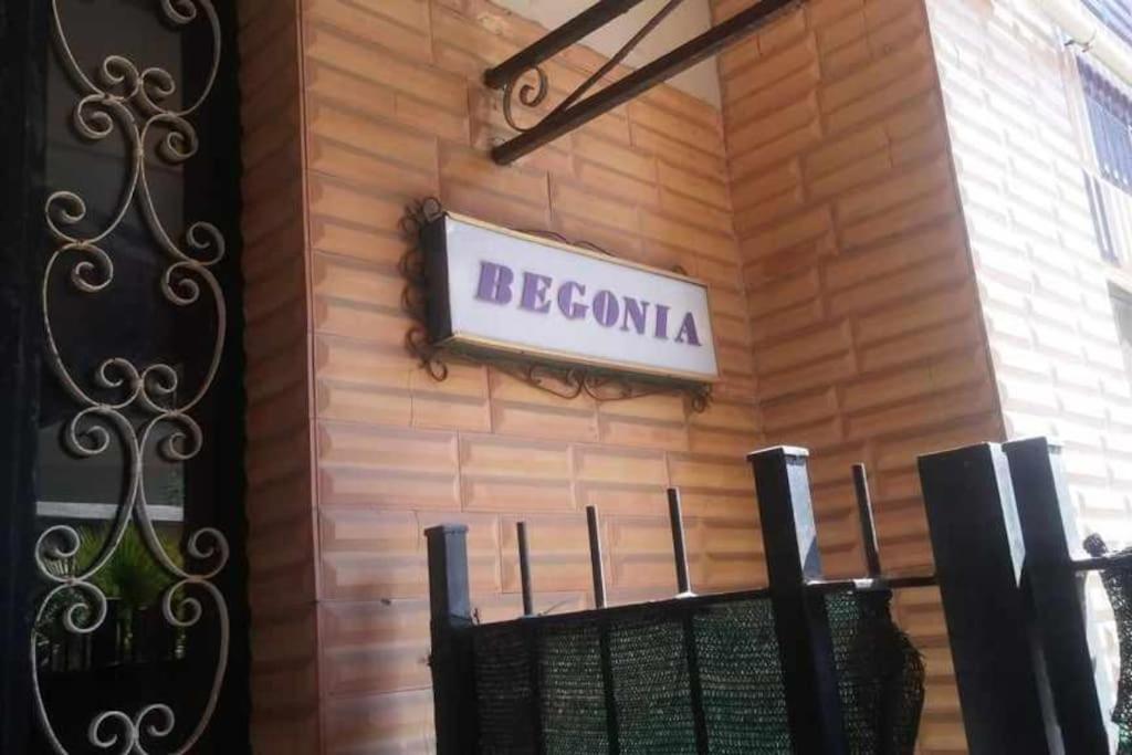 Appartamento Aurelia - Begonia *