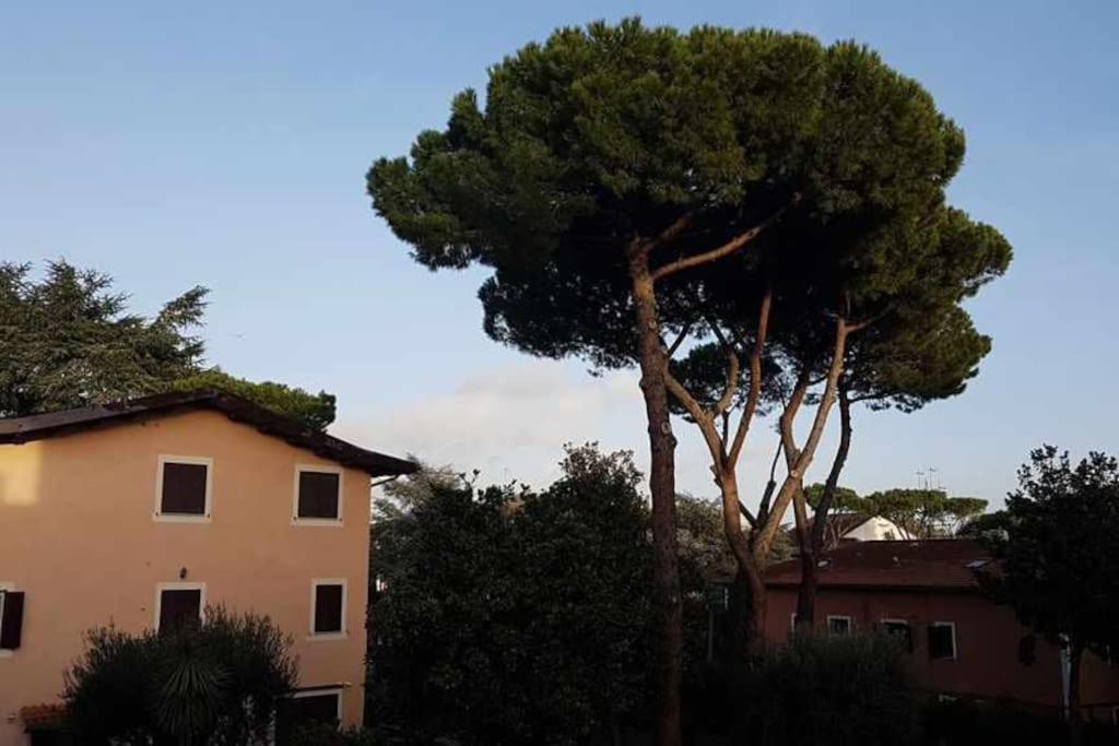 Aurelia - Begonia Appartamento Roma