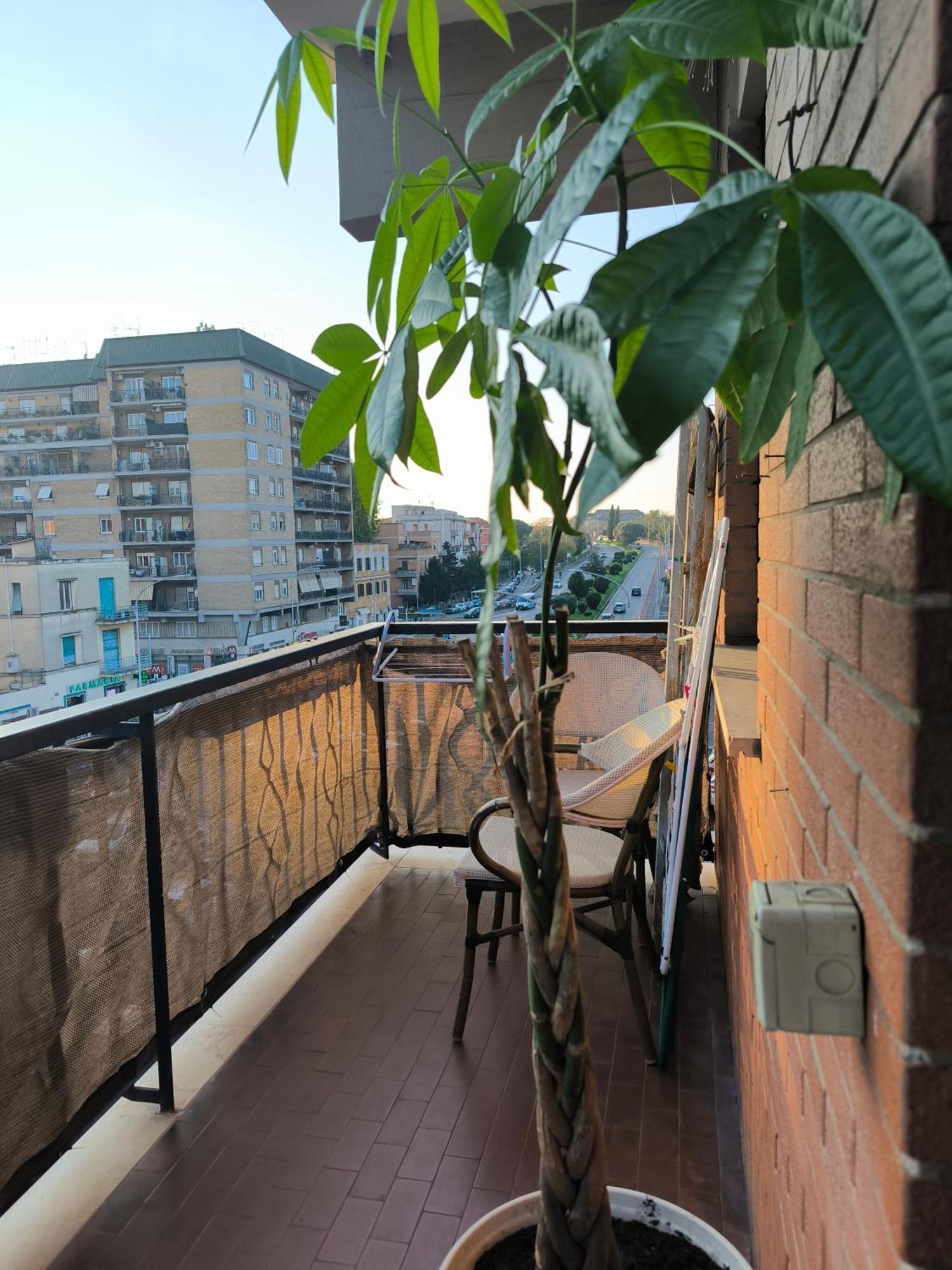 Apartment The Italian House In A Pochi Passi Dalla Metro A Rome