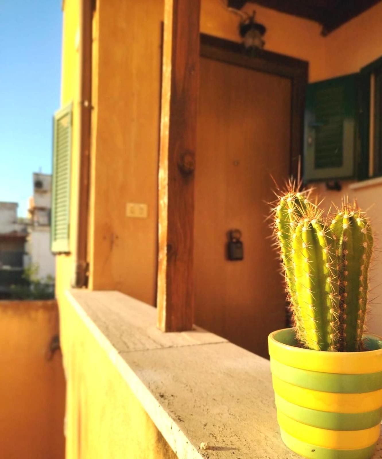 - Terrazza Dei Quintili Loft Apartment *