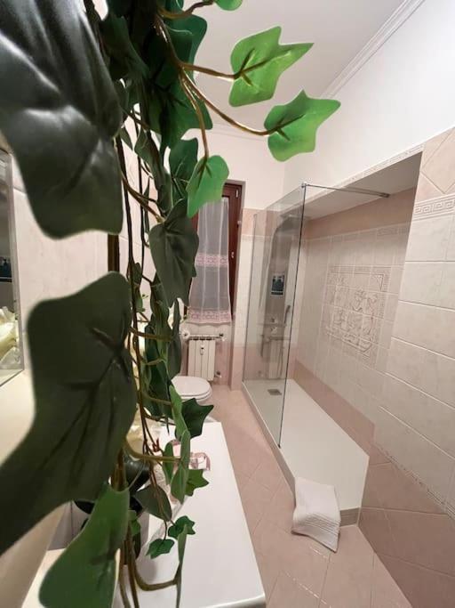 Alga Apartment *