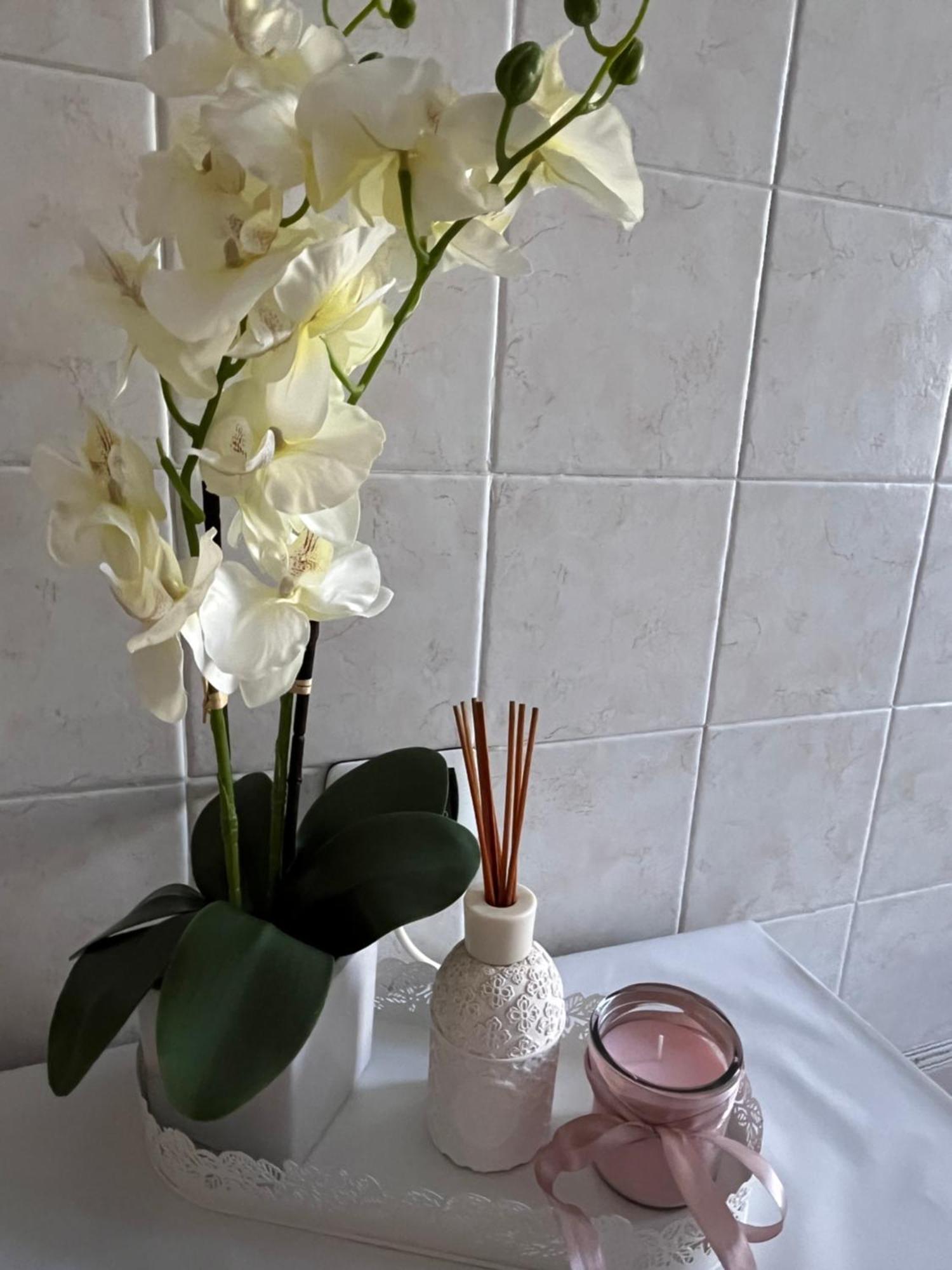 Apartment Alga *