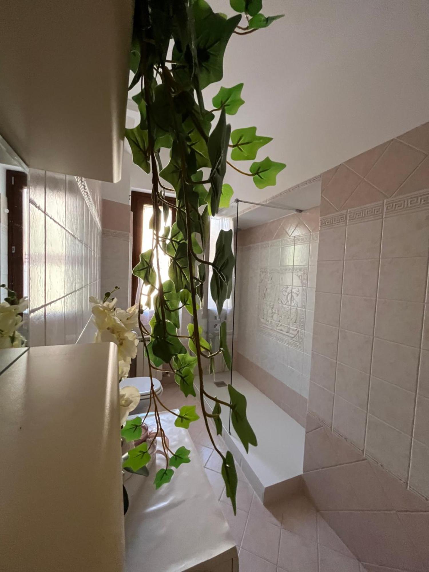 Alga Apartment *
