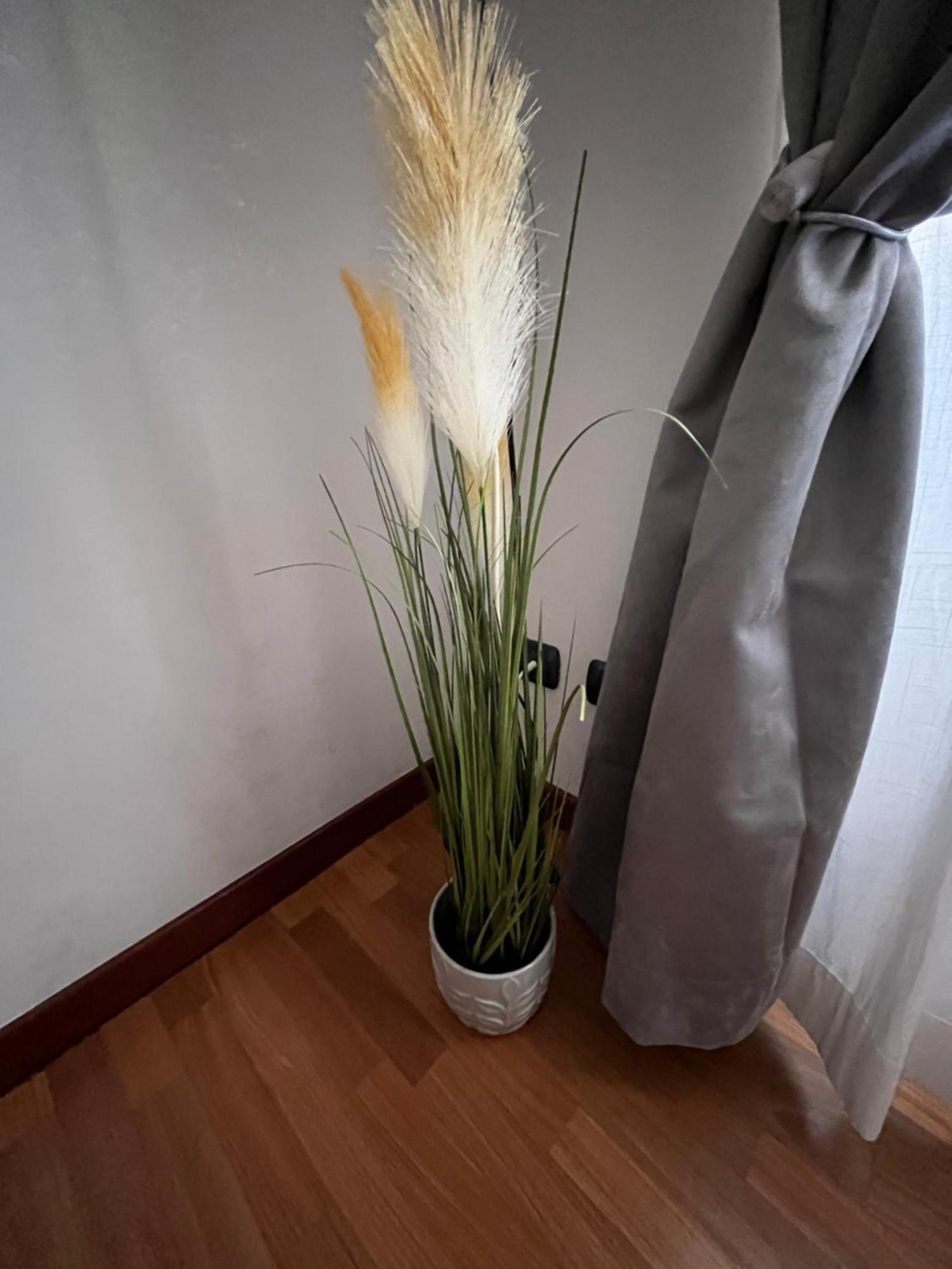 Alga Apartment *