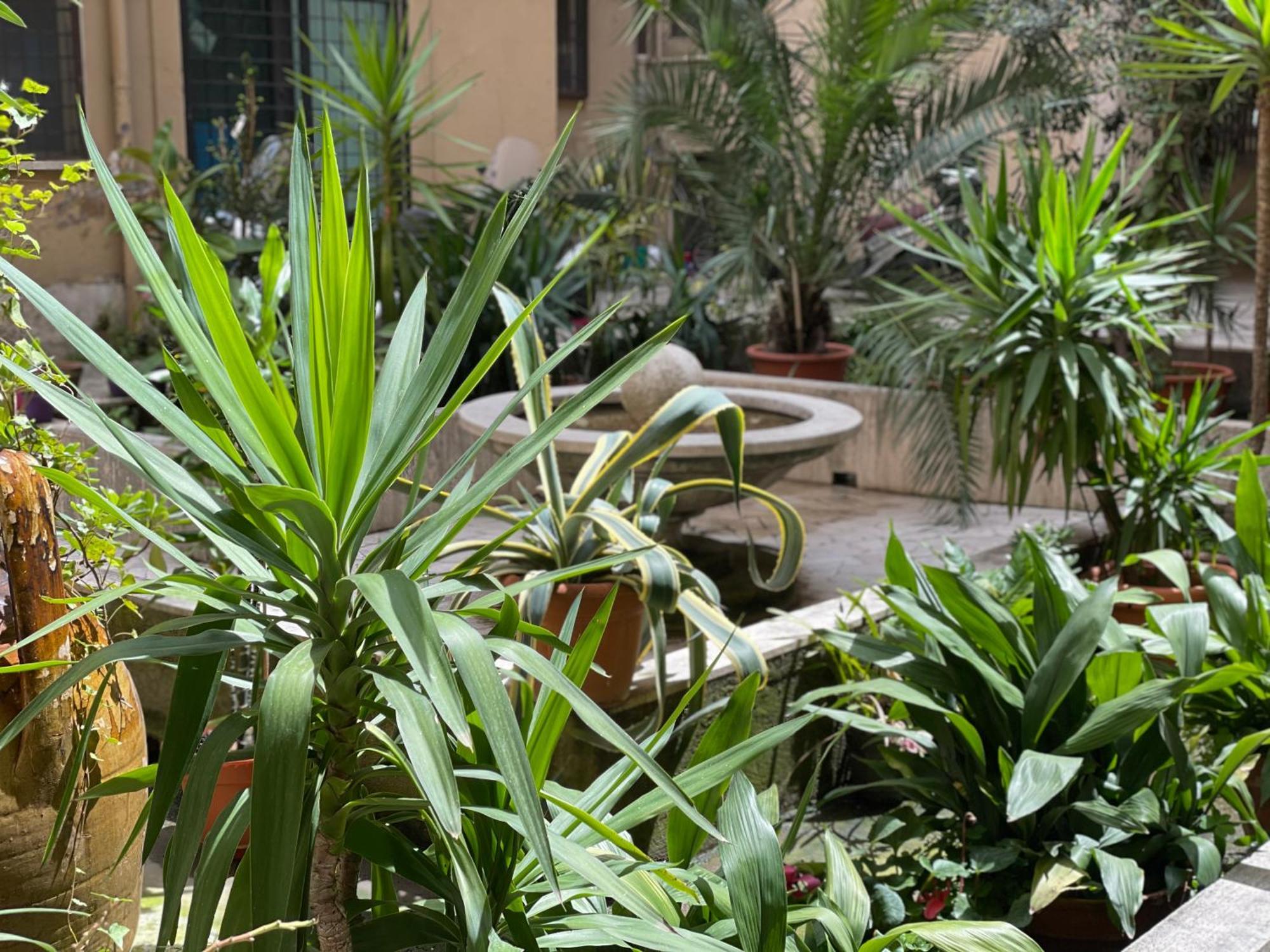 Guest house Sweet Vatican *