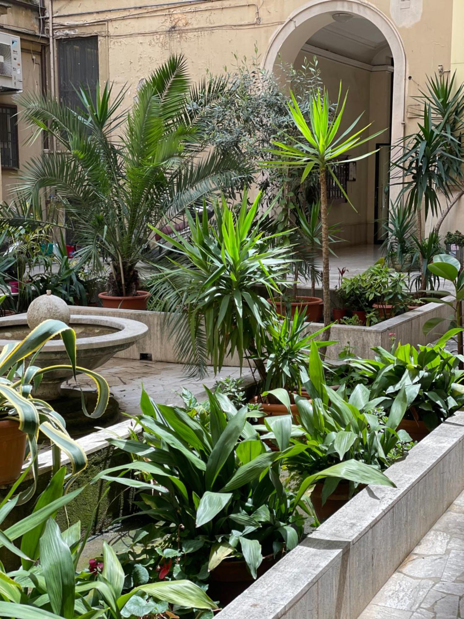 Sweet Vatican Guest house *