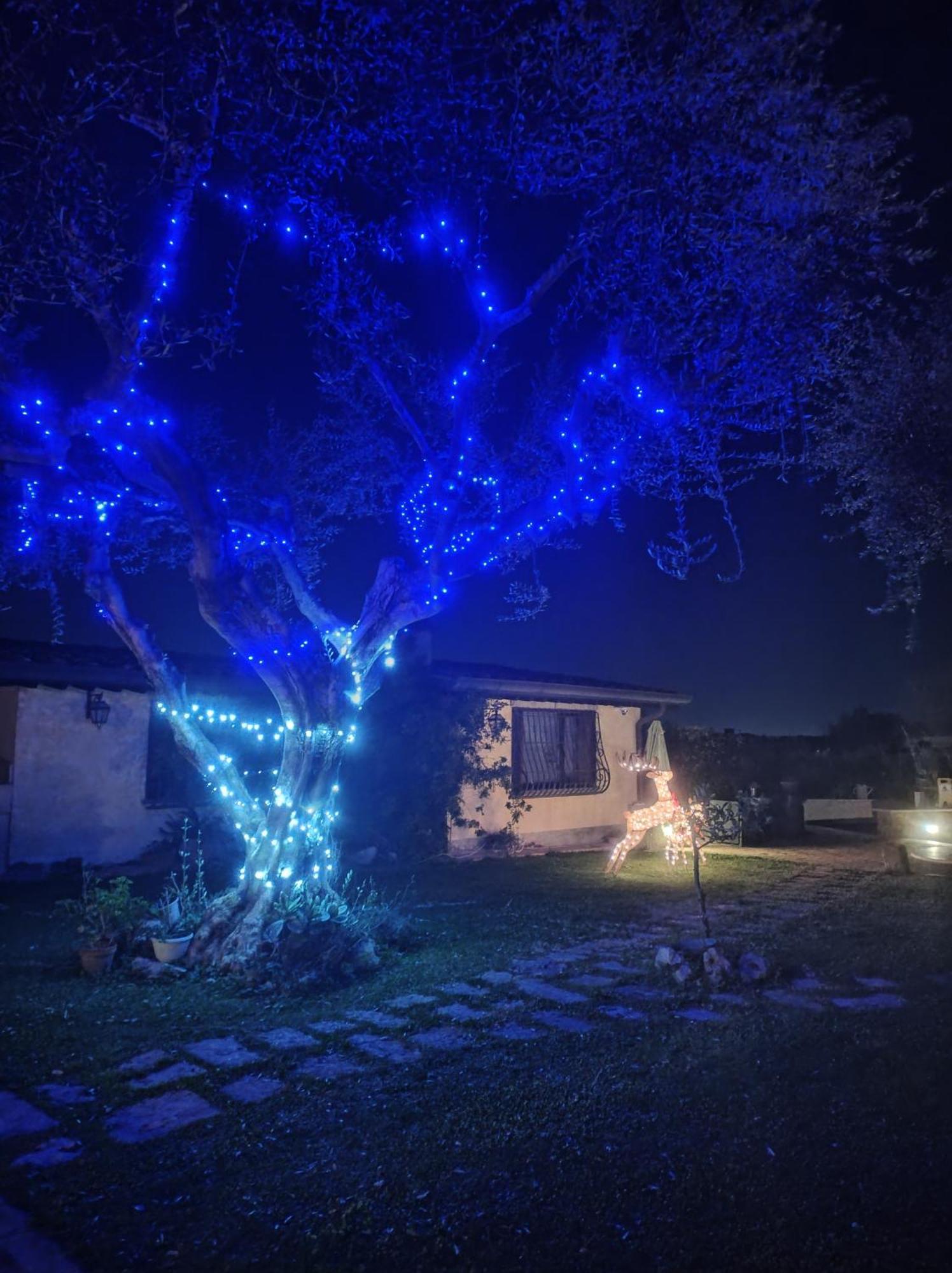 La Valle Dei Casali Bed & Breakfast 3*
