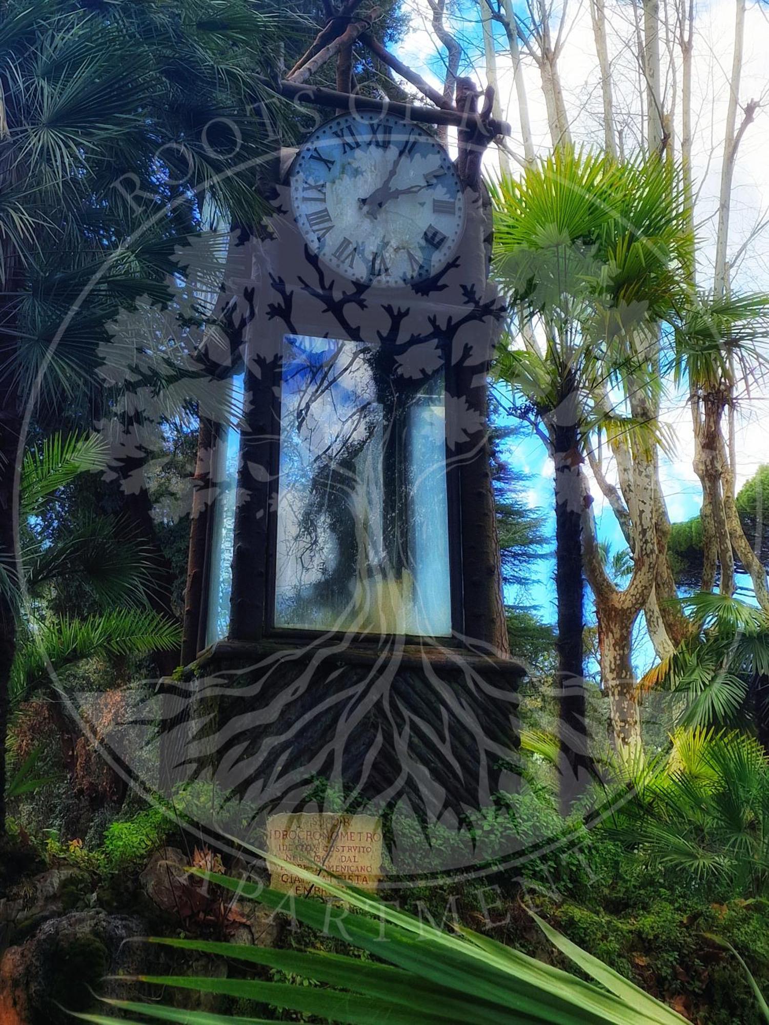 Roots Of Apartment