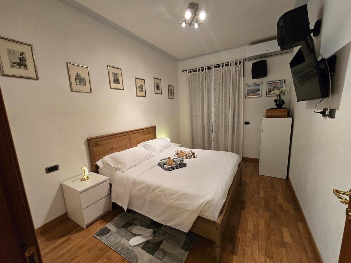 Roots Of Apartment