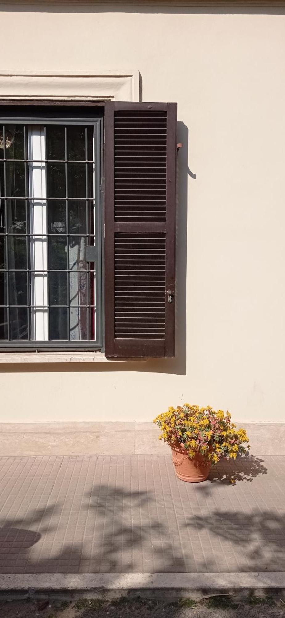 Apartment San Peter Vatican Quiet And Lovely Rome