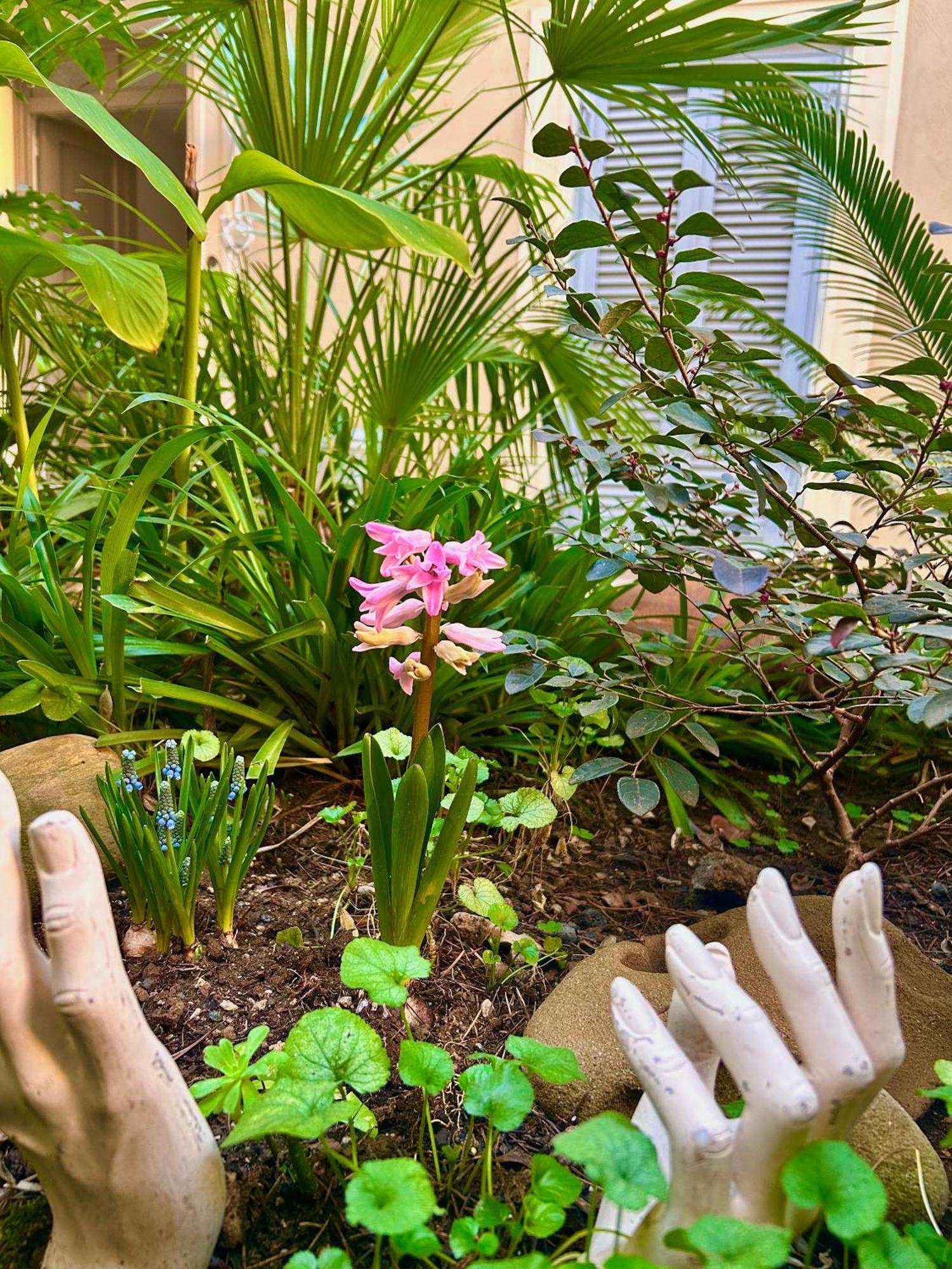 Isola Roger - Con Giardino A Holiday home *