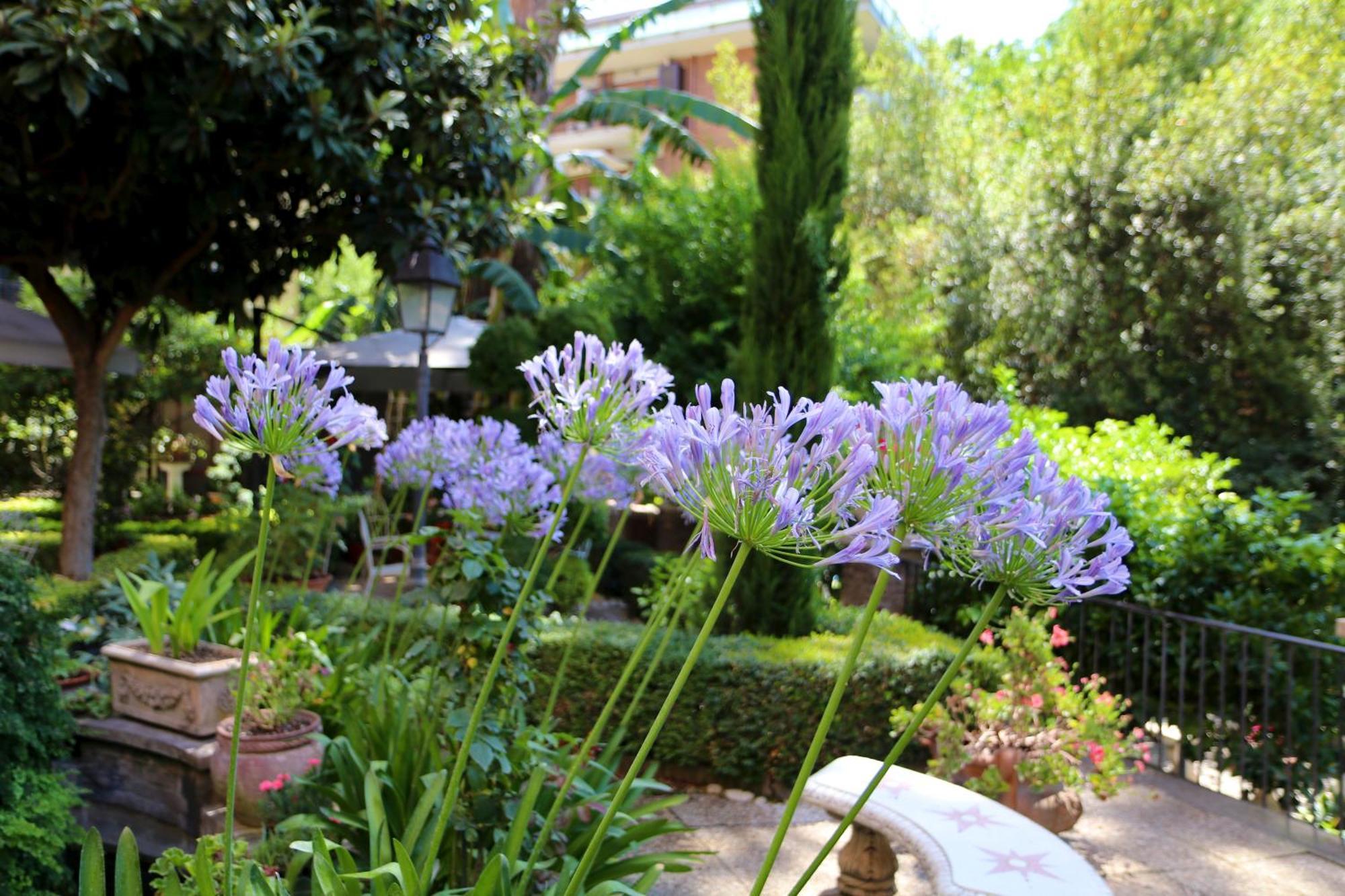 Matissa Guest house 2*