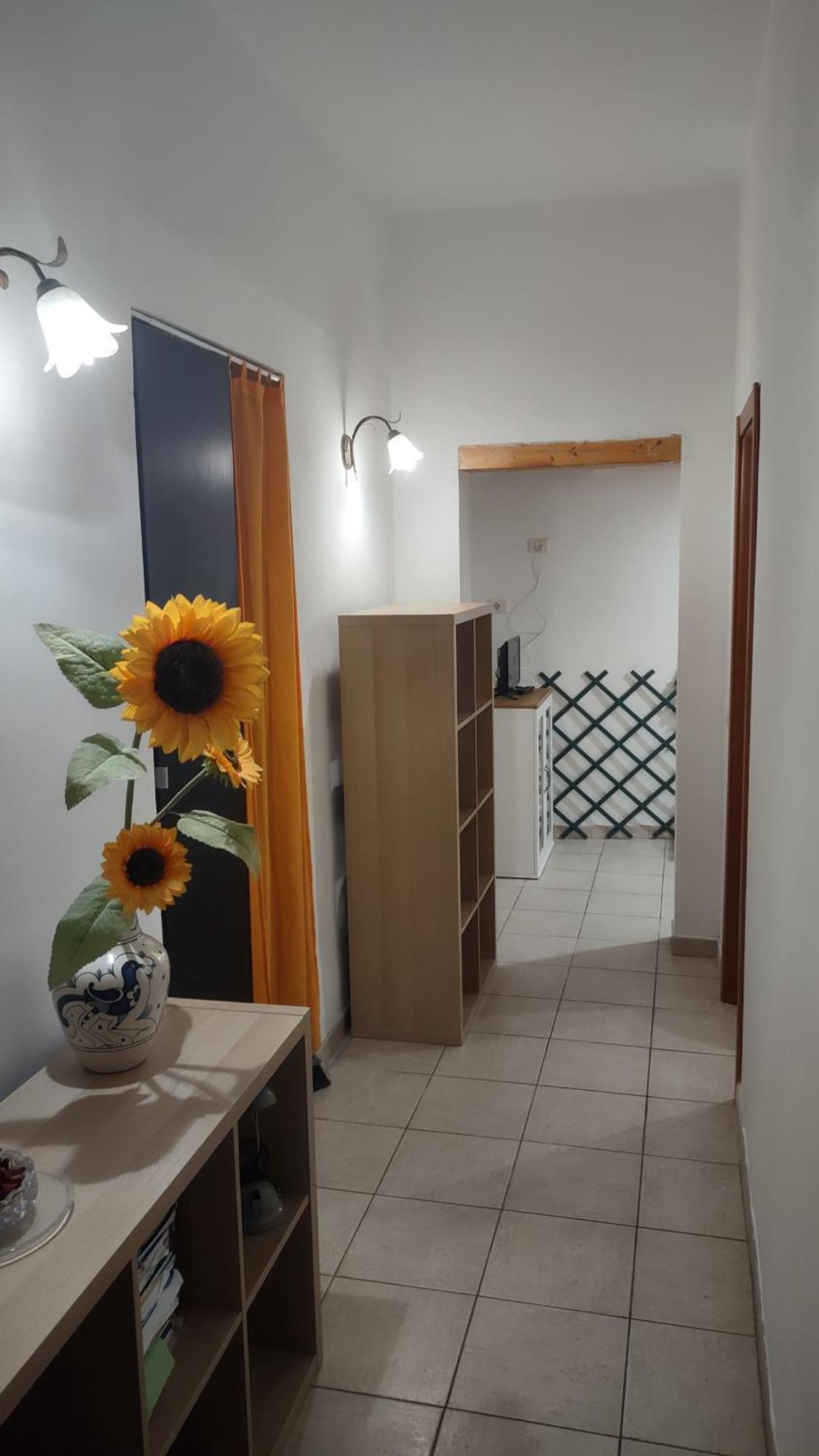 Apartment Saint Peter *