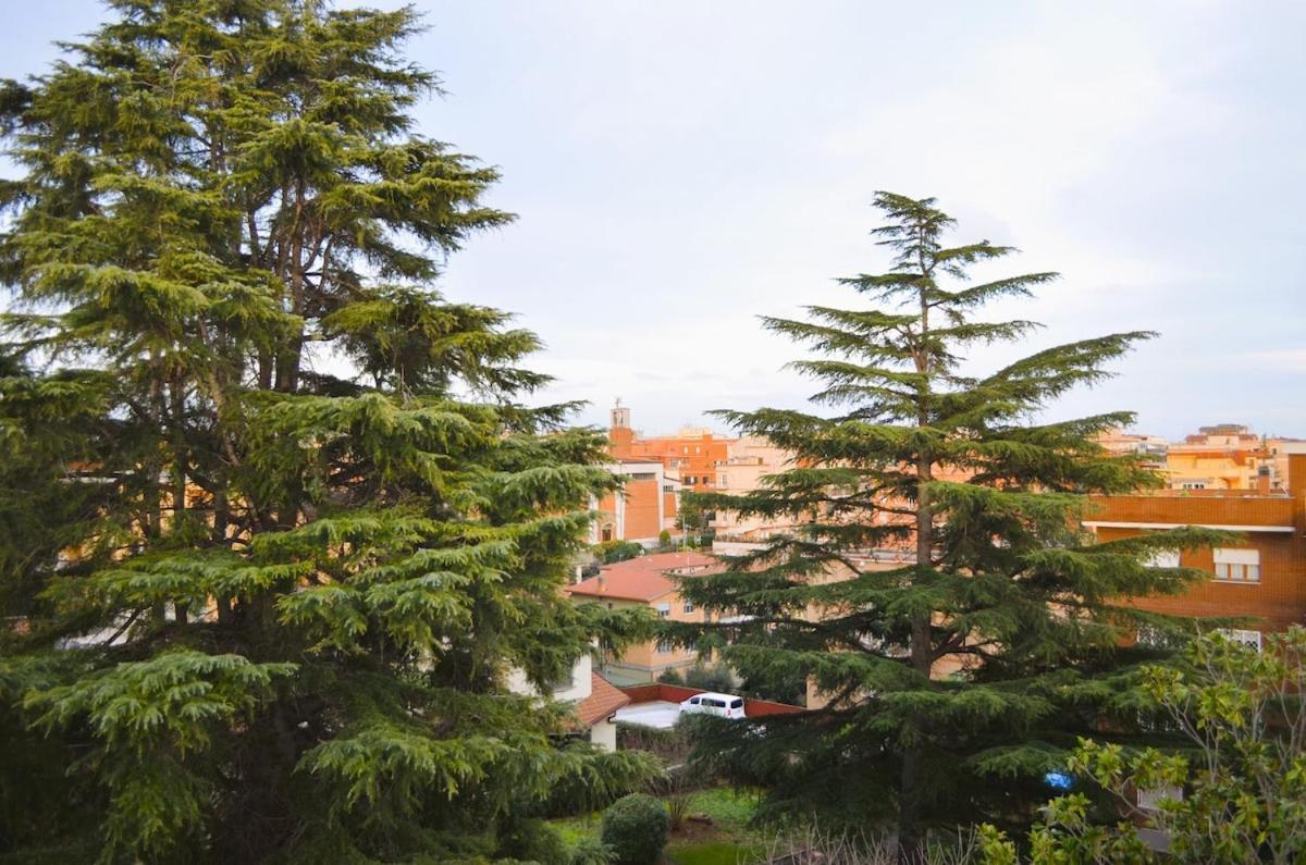 Apartment Attico Aurelia Antica *