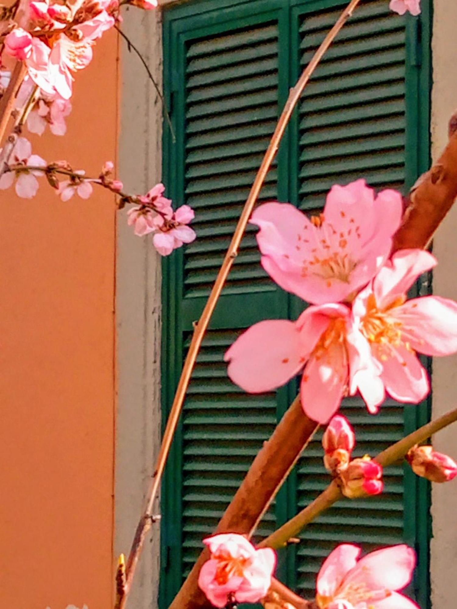 Holiday home Antico Gelso