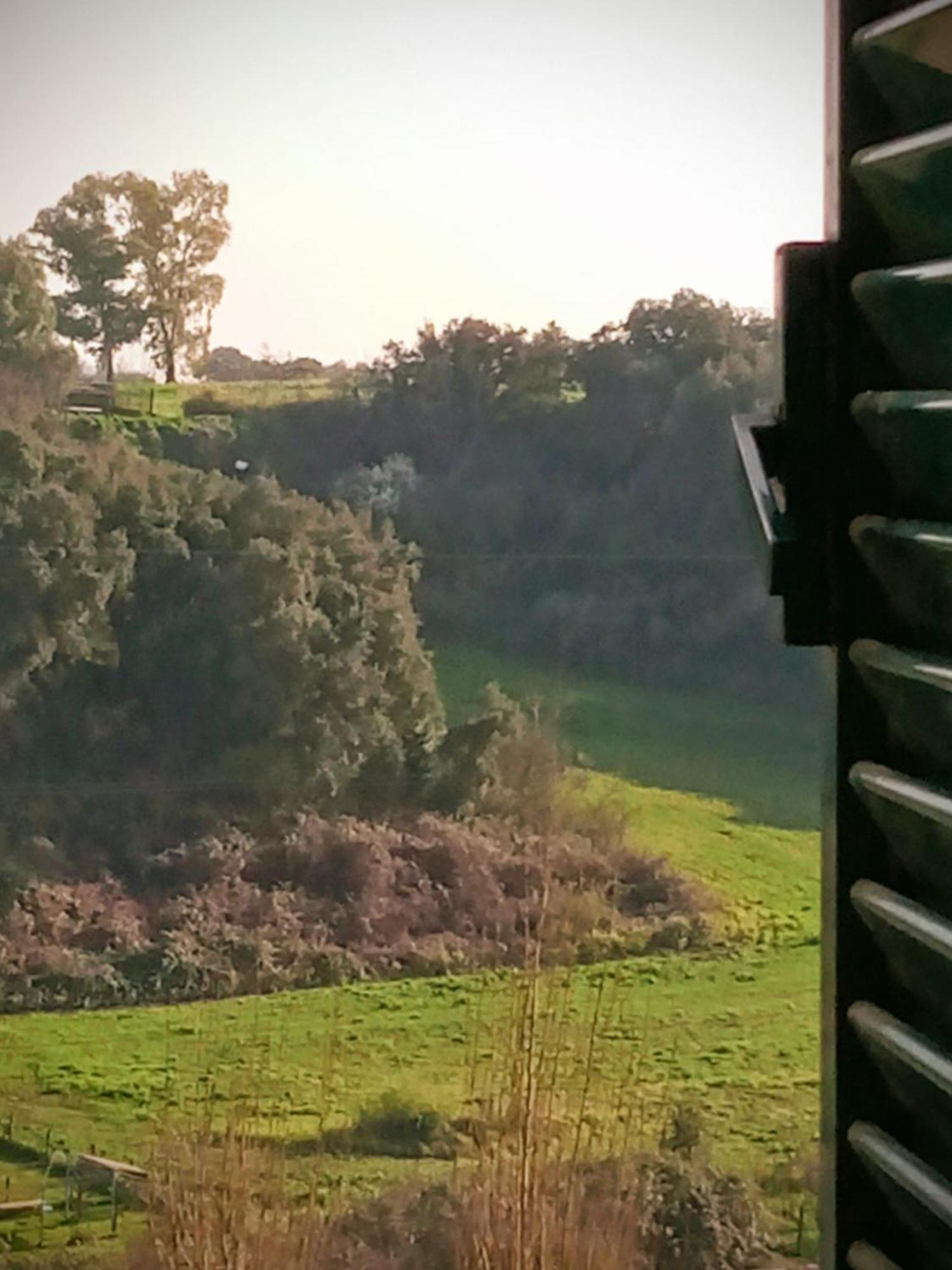 Holiday home Antico Gelso