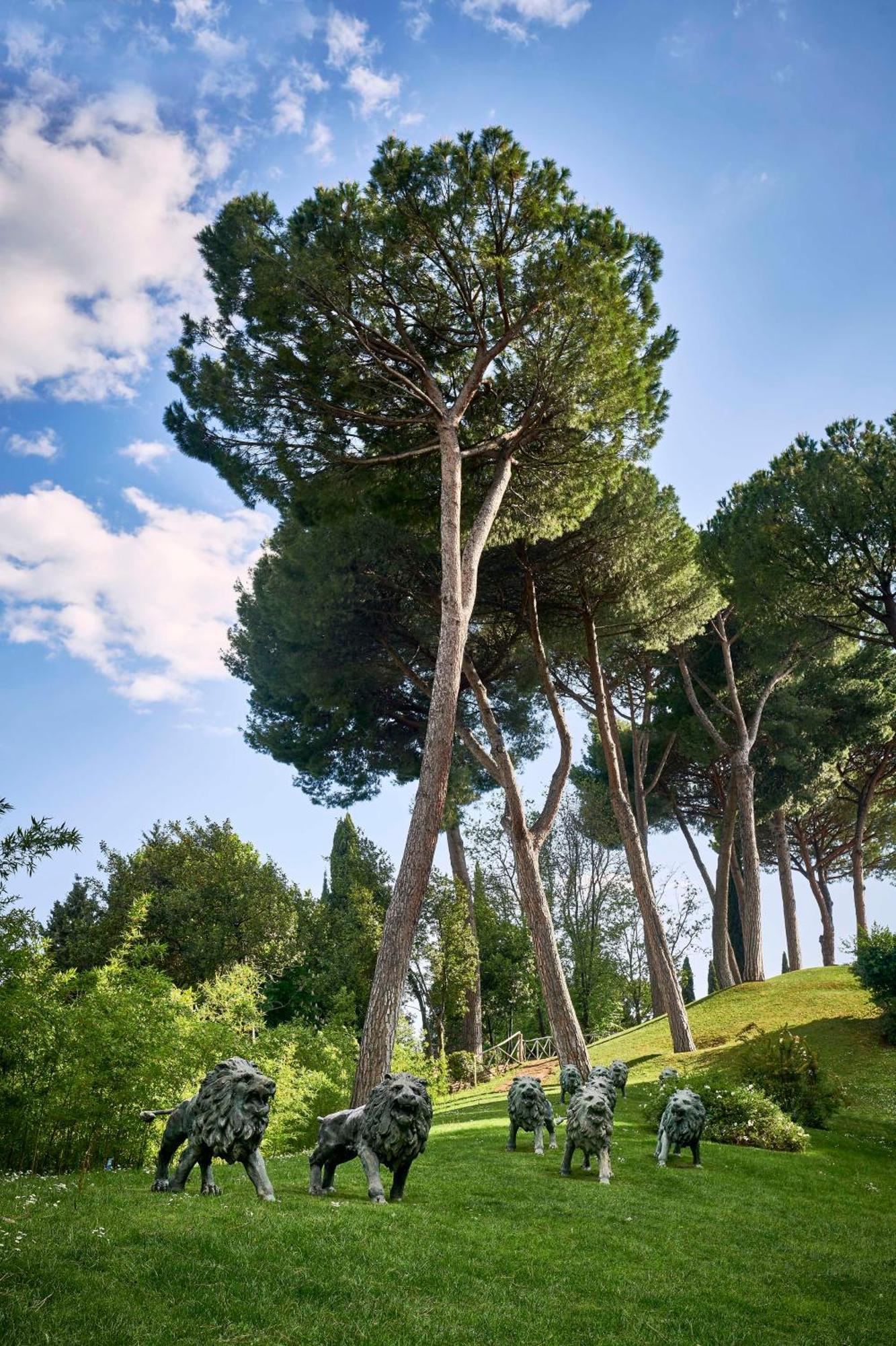 Cavalieri, A Waldorf Astoria Resort