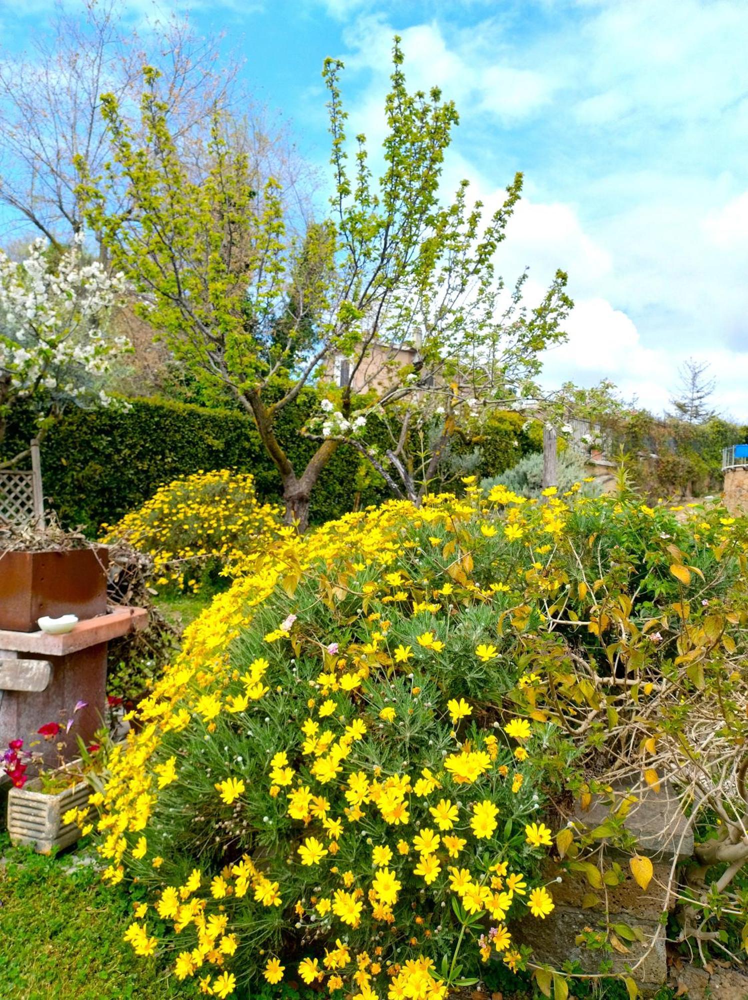 La Valle Dei Casali Bed & Breakfast Roma