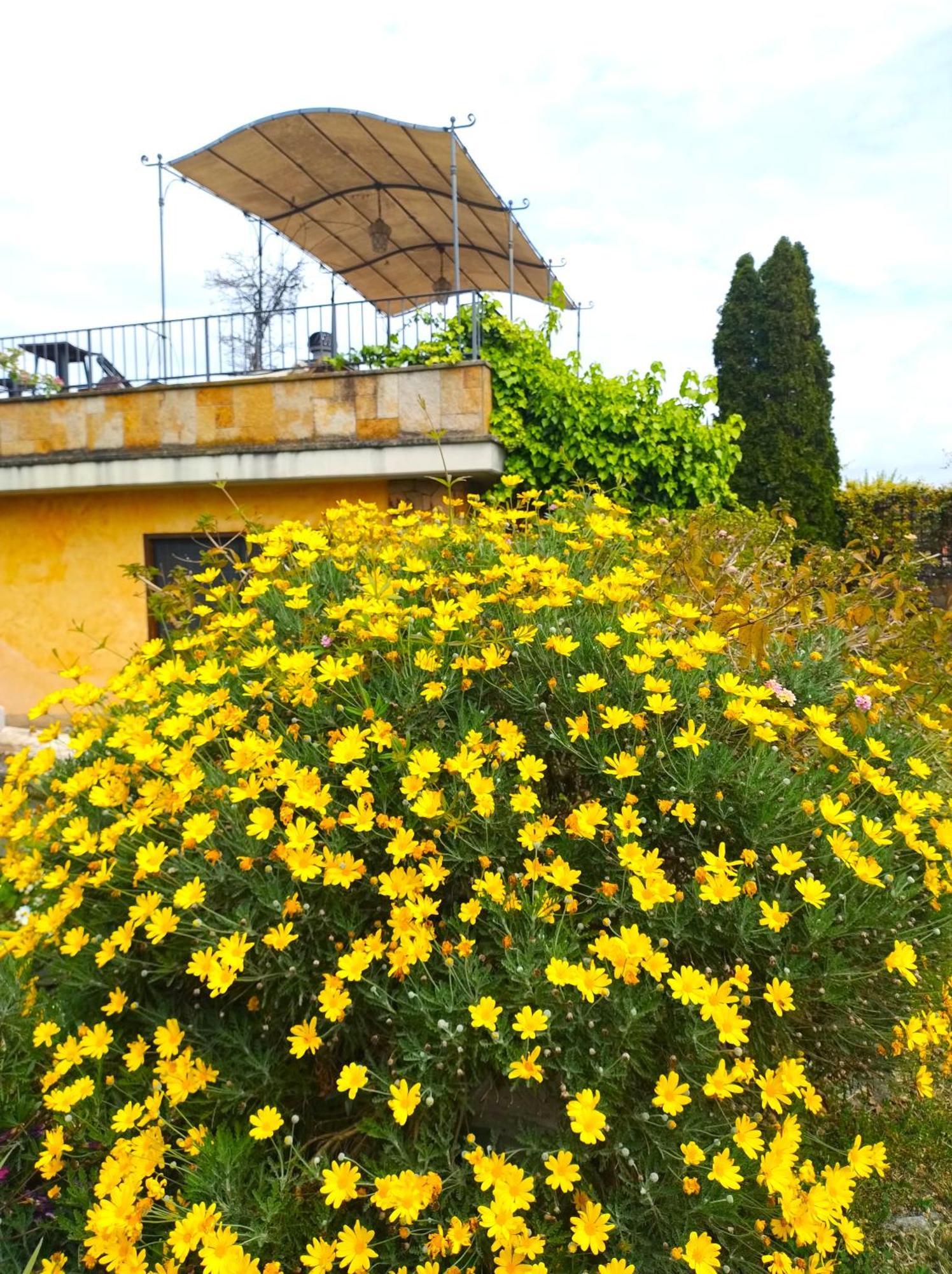 Bed & Breakfast La Valle Dei Casali