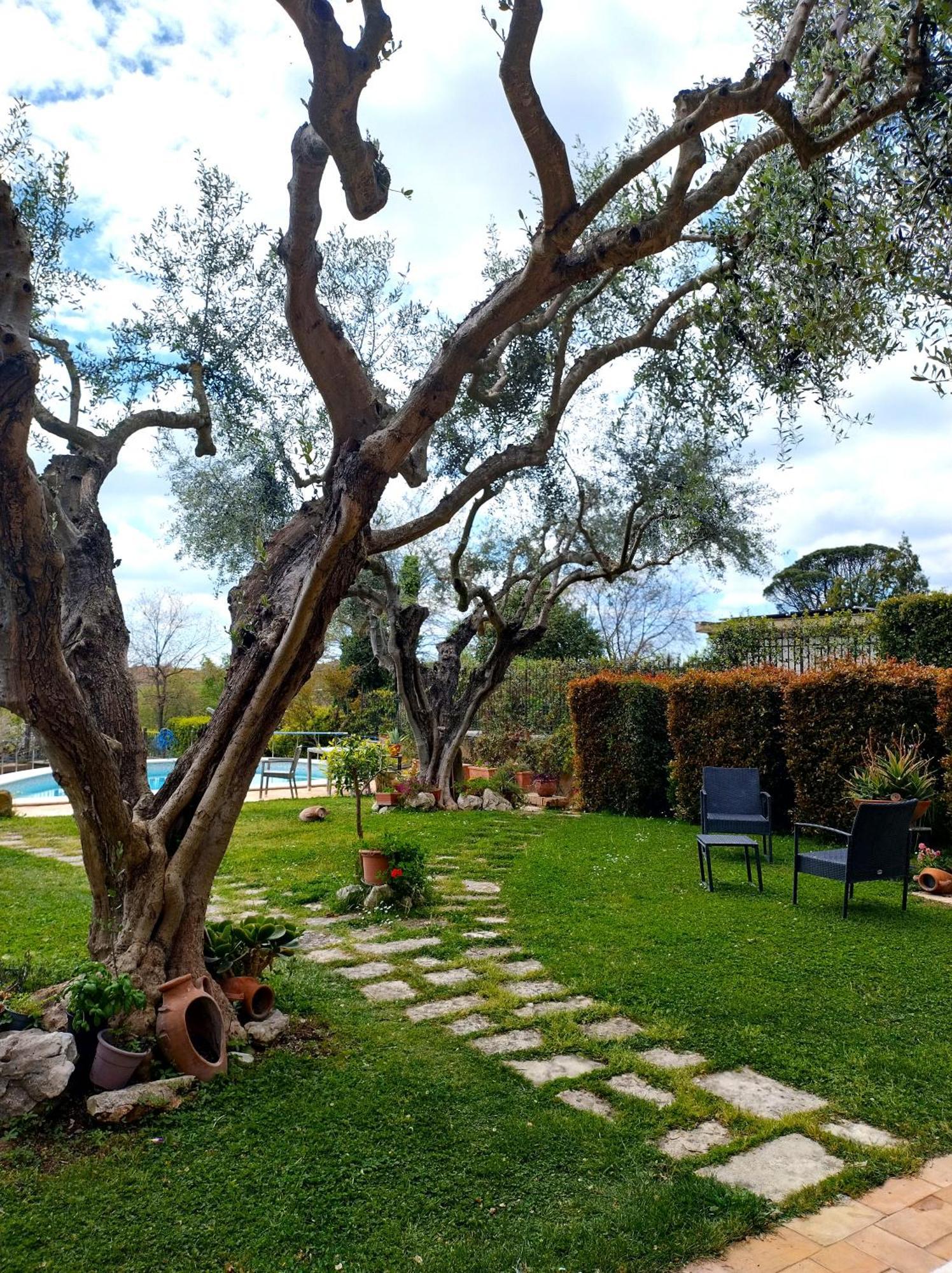 La Valle Dei Casali Bed & Breakfast Roma
