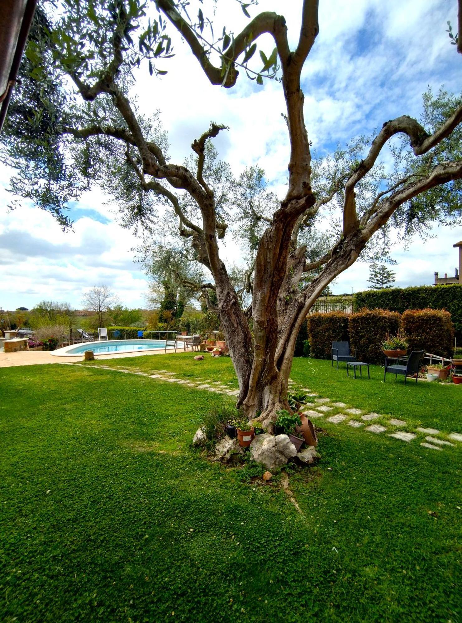 Bed & Breakfast La Valle Dei Casali Roma