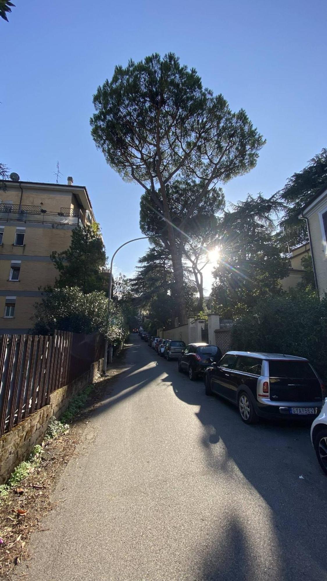 Garden House * Rome