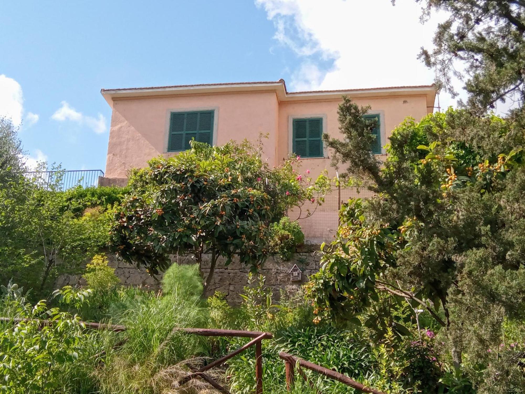 Antico Gelso Holiday home *