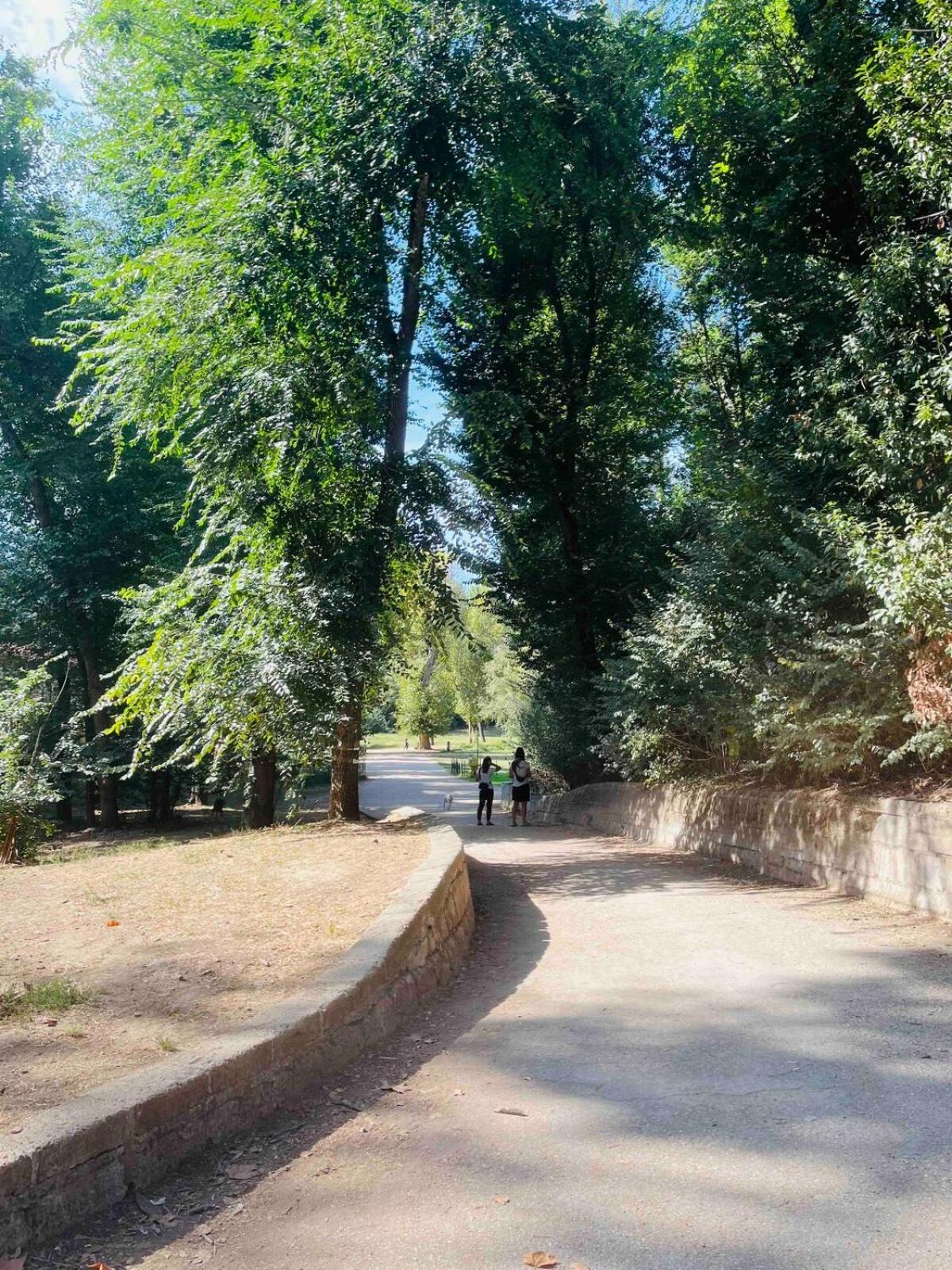 Luminoso Davanti Pamphili