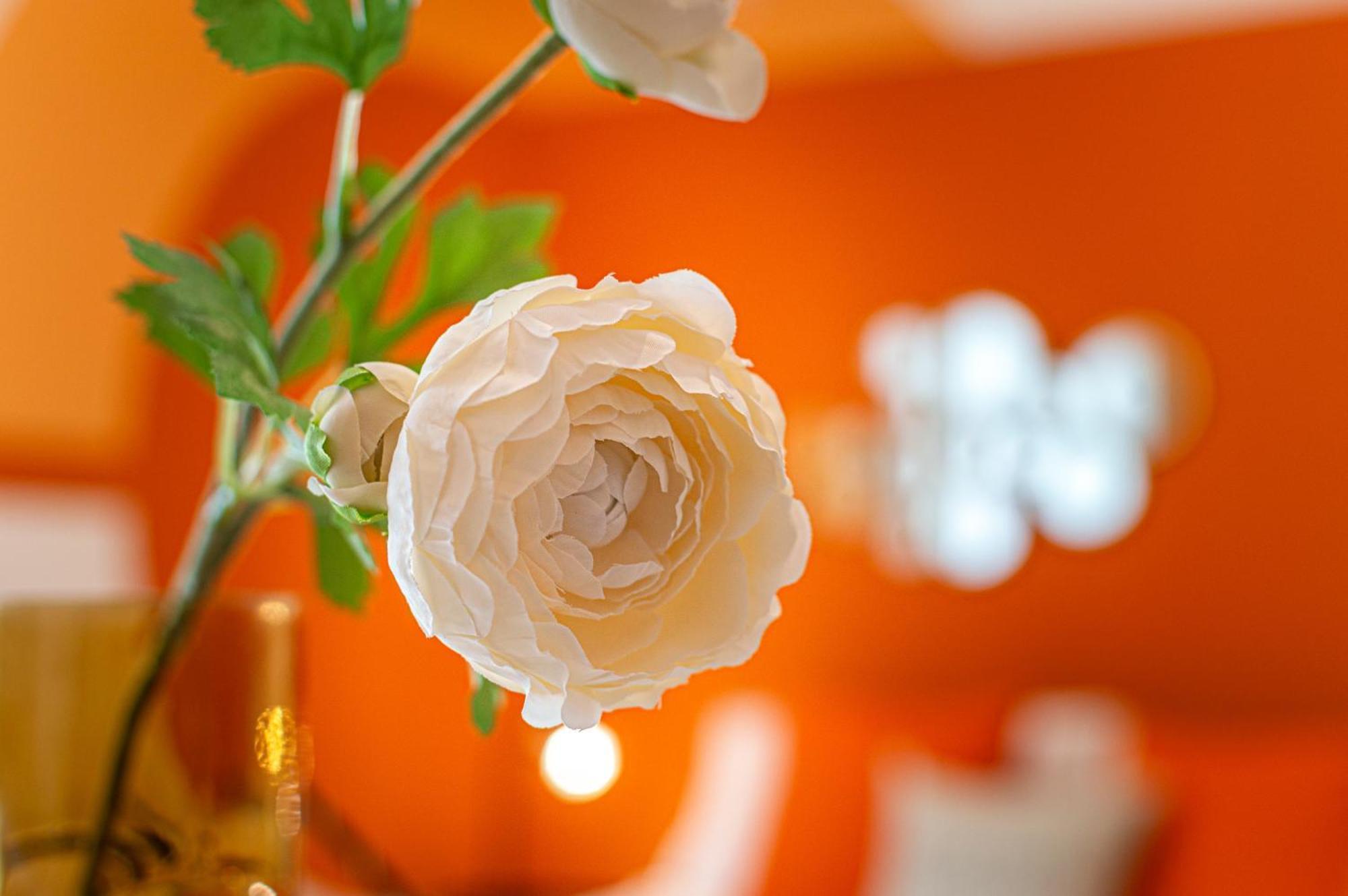Apartment Aperol Spritz Rome
