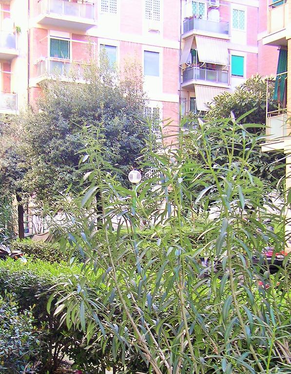 Whatshouse Affittacamere