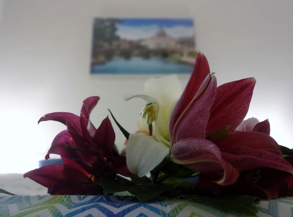 Guest house Romulea Rome