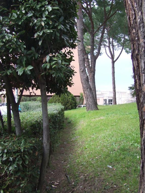 Tellene Rome