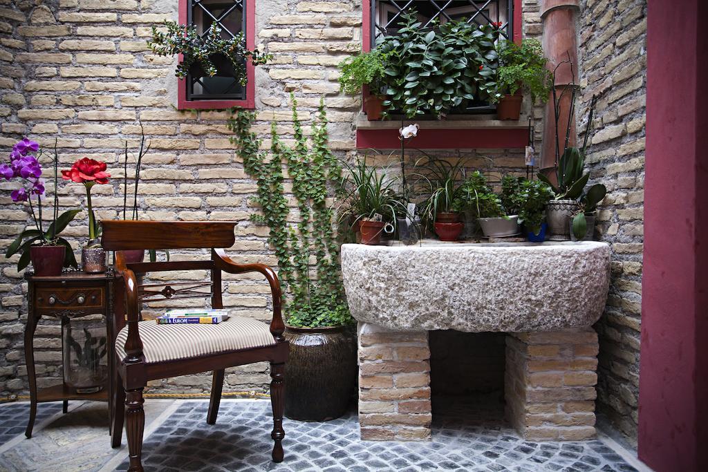 Guest house Navona Queen Rooftop Rome