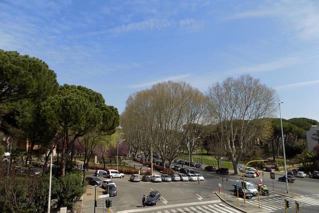 Marmorata