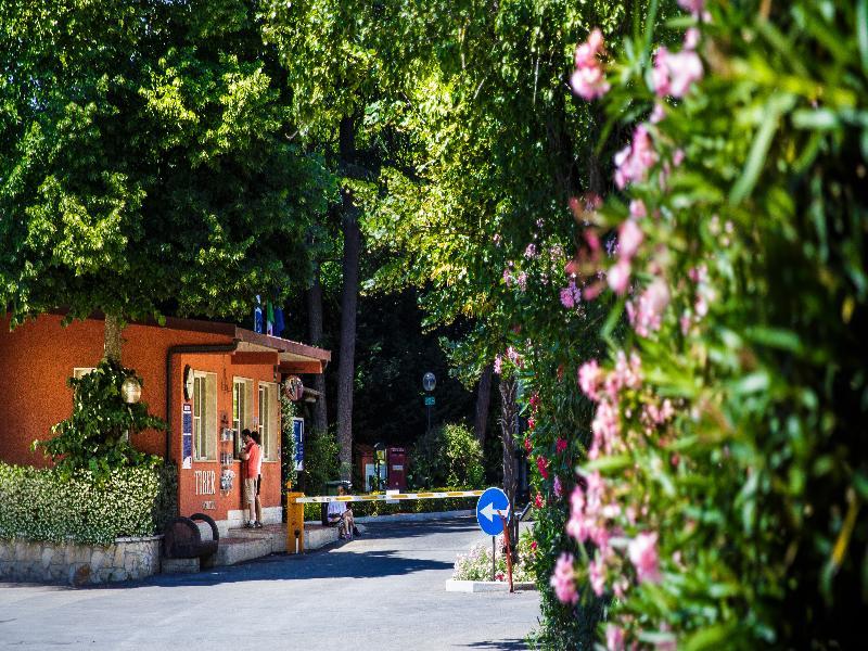 Campsite Tiber