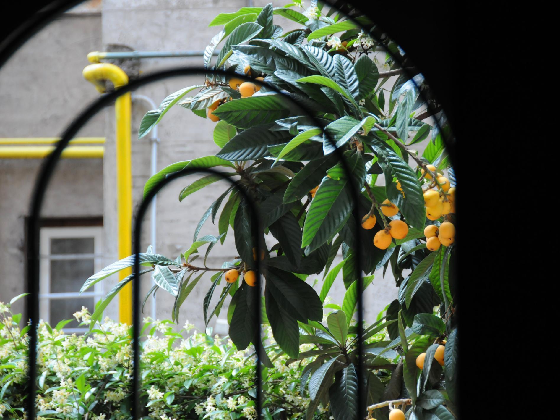 Circus Maximus Bed & Breakfast Rome