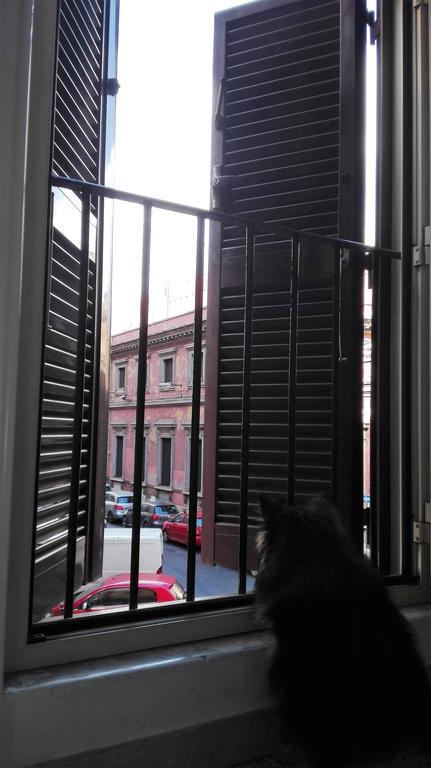 Hostel Tempus