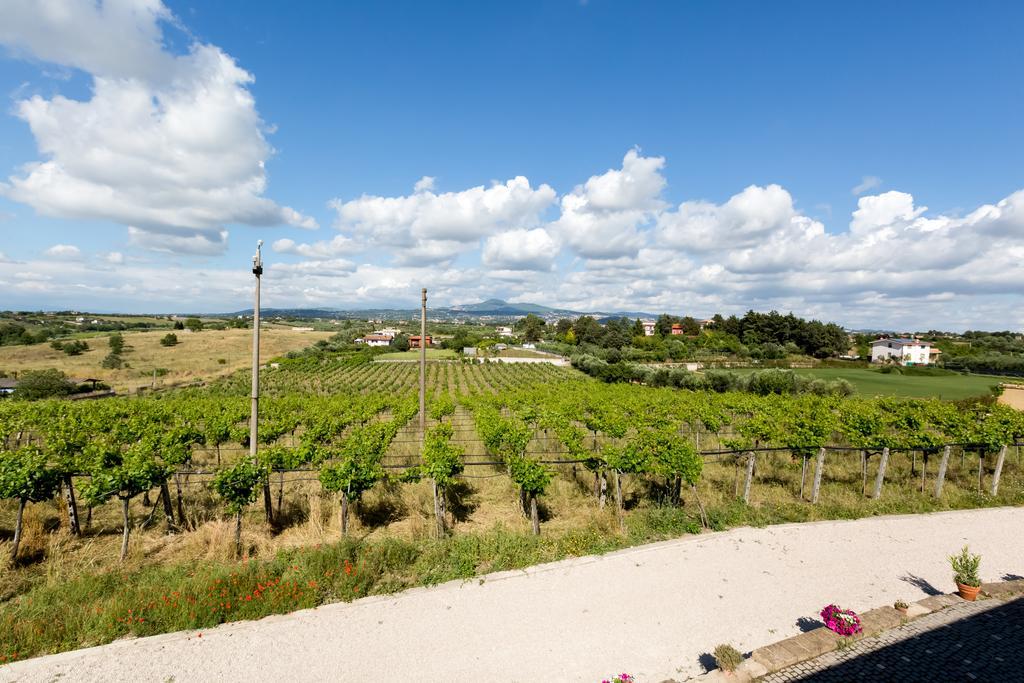 Farm stay Grappoli Di Sole *