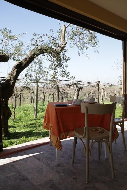 Farm stay Grappoli Di Sole *