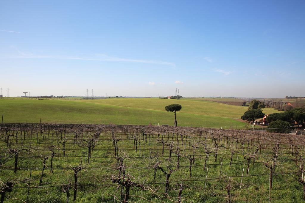 Farm stay Grappoli Di Sole *