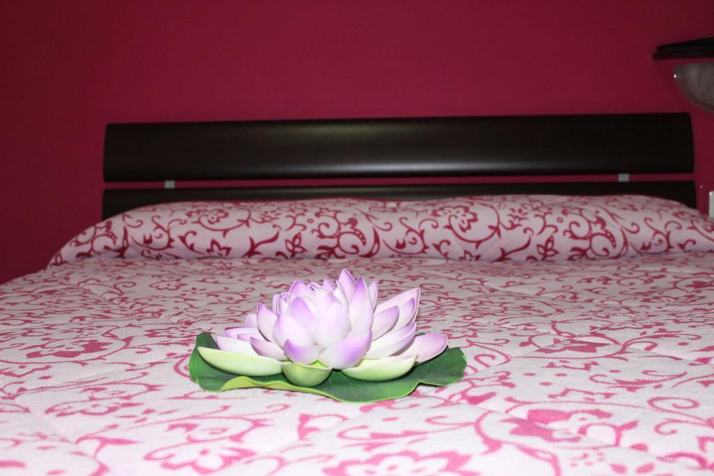 Bed & Breakfast Aracoeli Rome