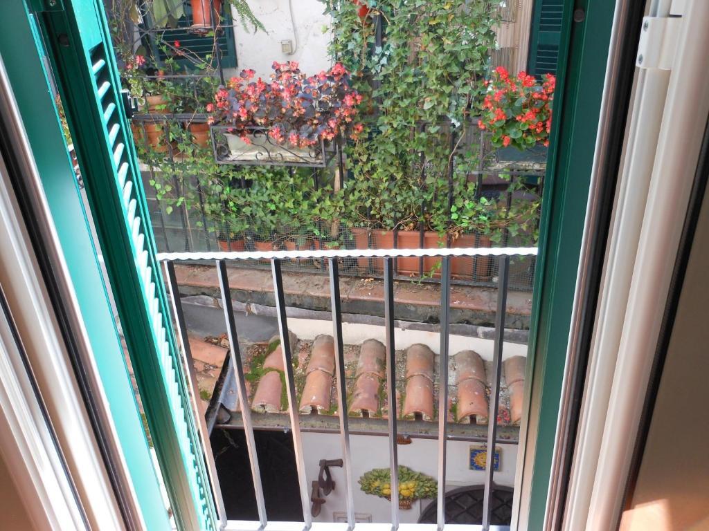 Bed & Breakfast Signor Colosseo