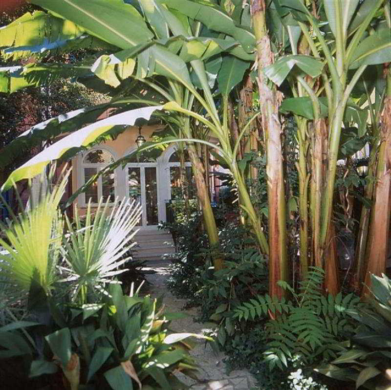 Hotel Astoria Garden Rome
