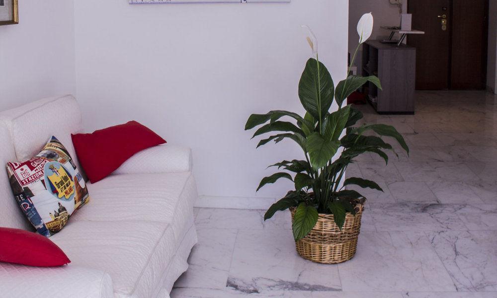 Bed & Breakfast Domus Raffaello