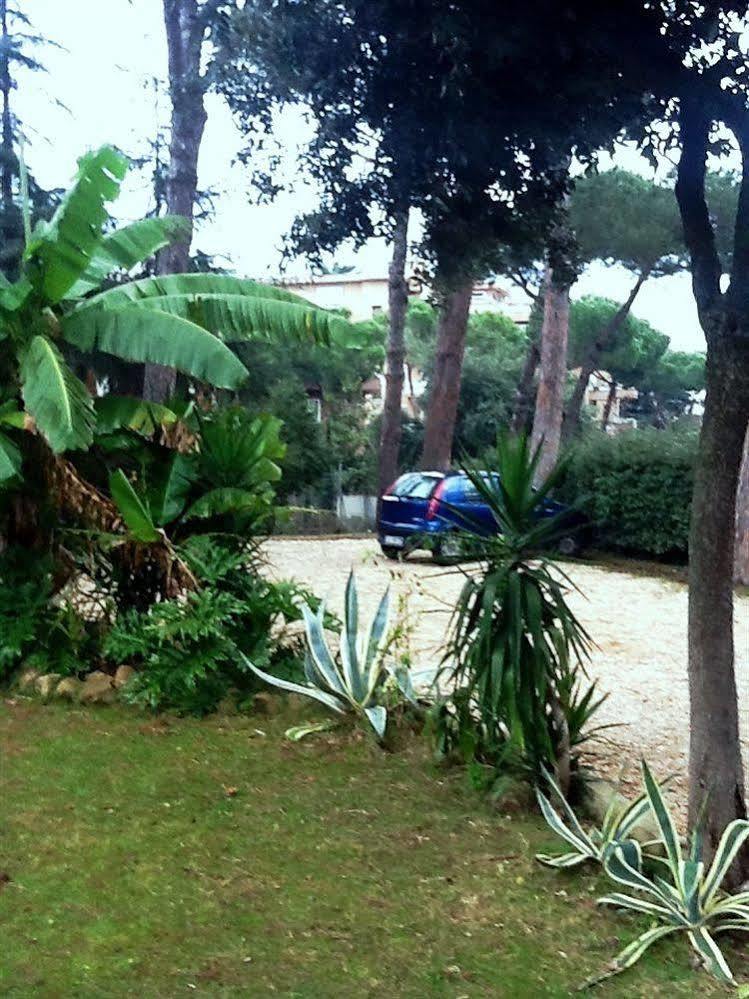 Relais La Canfora Guest house Rome