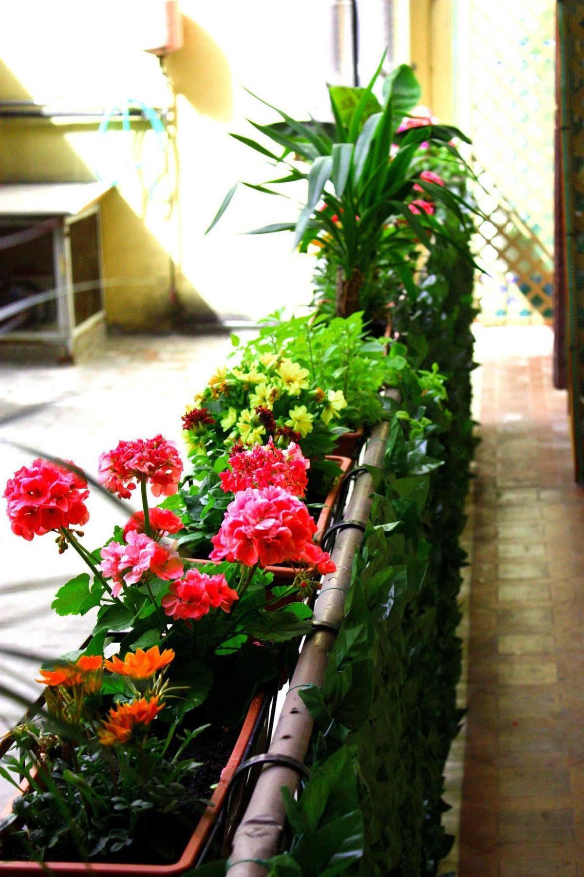 Hostel Legend R.g. Rome