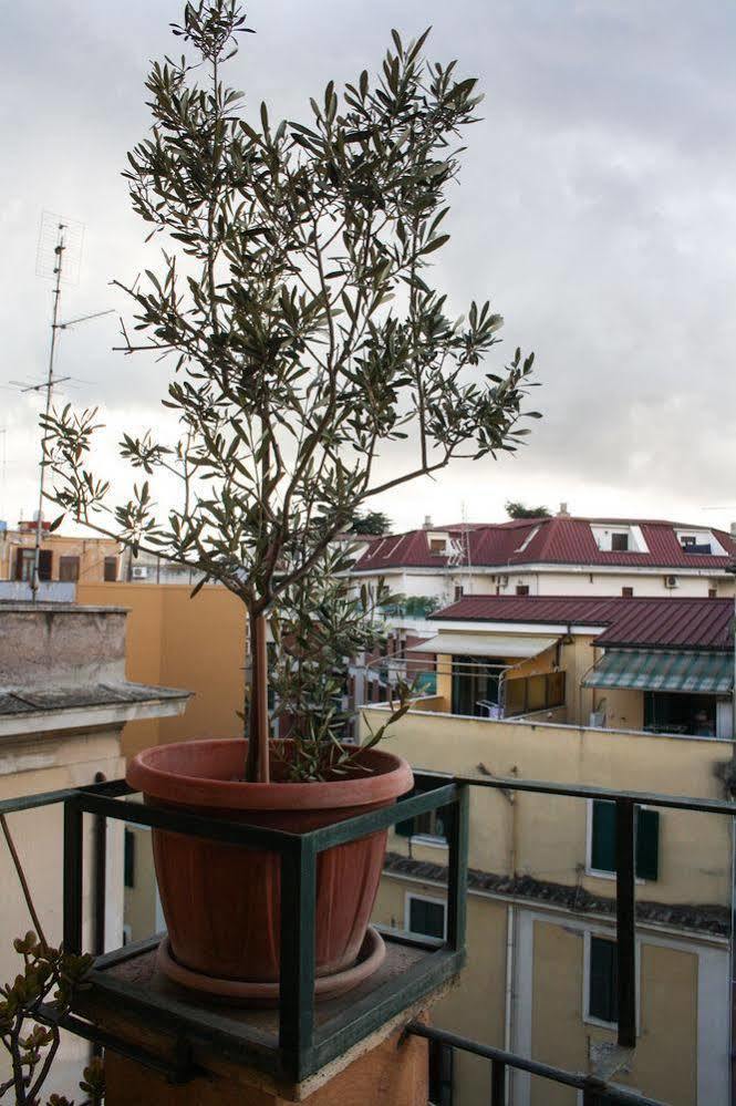 Msg Bed & Breakfast Roma